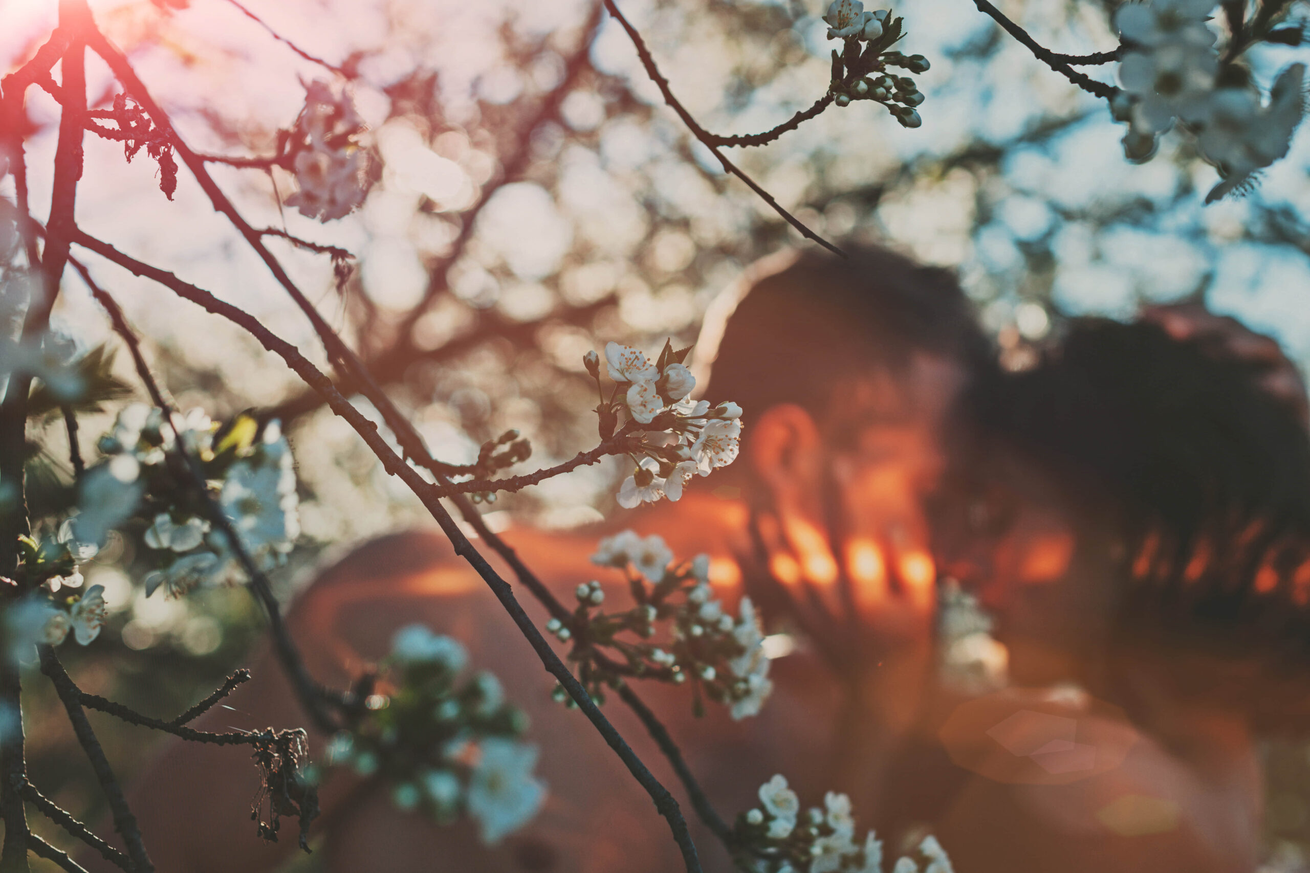 Having sex in nature